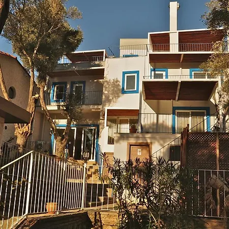 Zena Bodrum