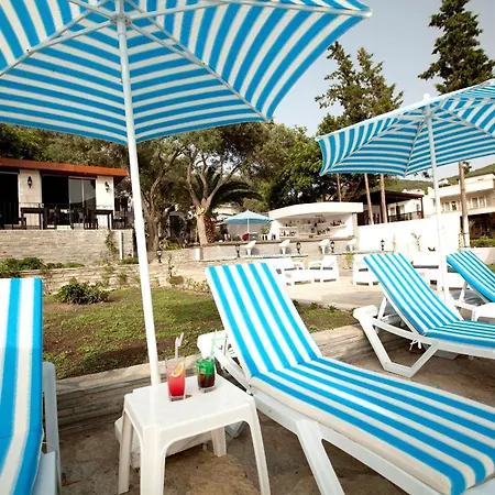 Zena Bodrum