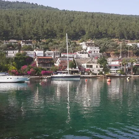 Zena Bodrum Гюверджинлик