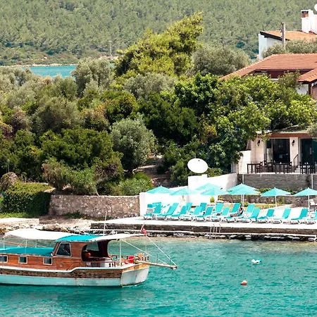 Zena Bodrum Гюверджинлик