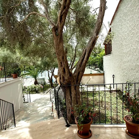 Zena Bodrum Гюверджинлик