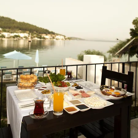 Zena Bodrum فندق