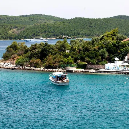 Zena Bodrum غوفرجينليك