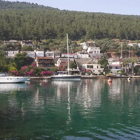 Zena Bodrum Hotel 2*