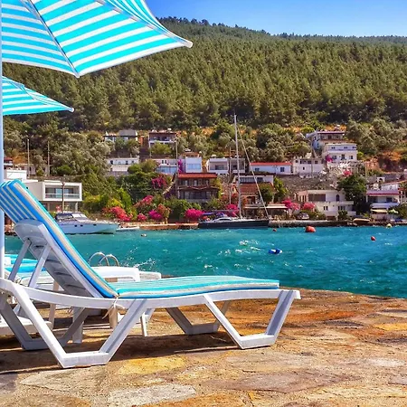 Zena Bodrum فندق 2*