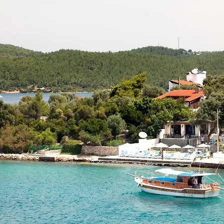 Zena Bodrum