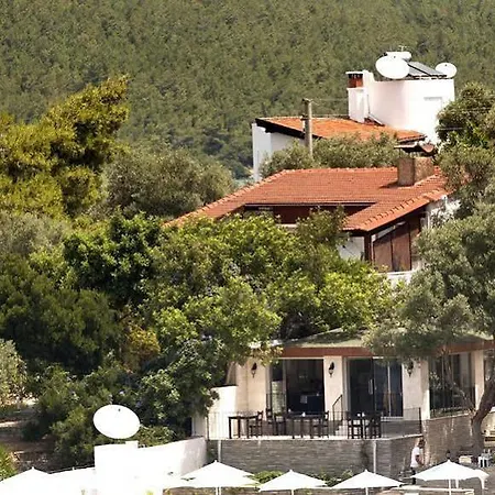 Zena Bodrum Гюверджинлик